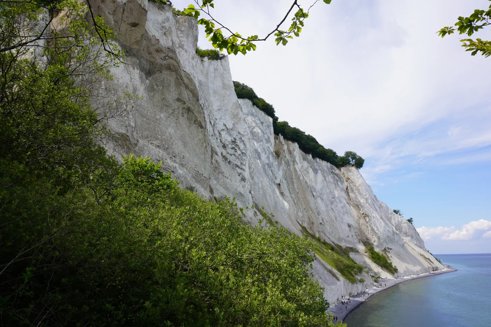 The chalk cliffs of Møns Klint on the island of Møn.